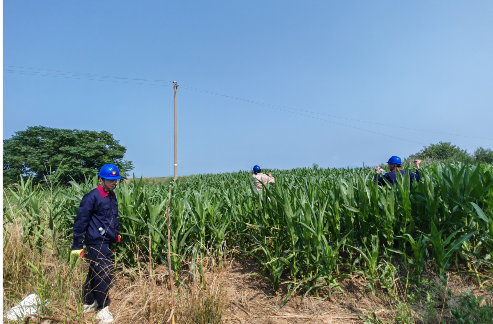 1754872953666 QQ_1754872940327